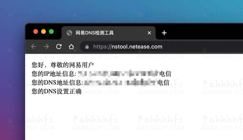 网易获取用户IP DNS的接口｜网站 | ahhhhfs