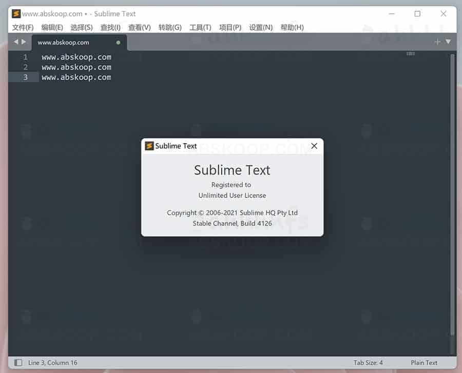 Sublime Text 4.0 Build 4126 Stable 中文破解便携版