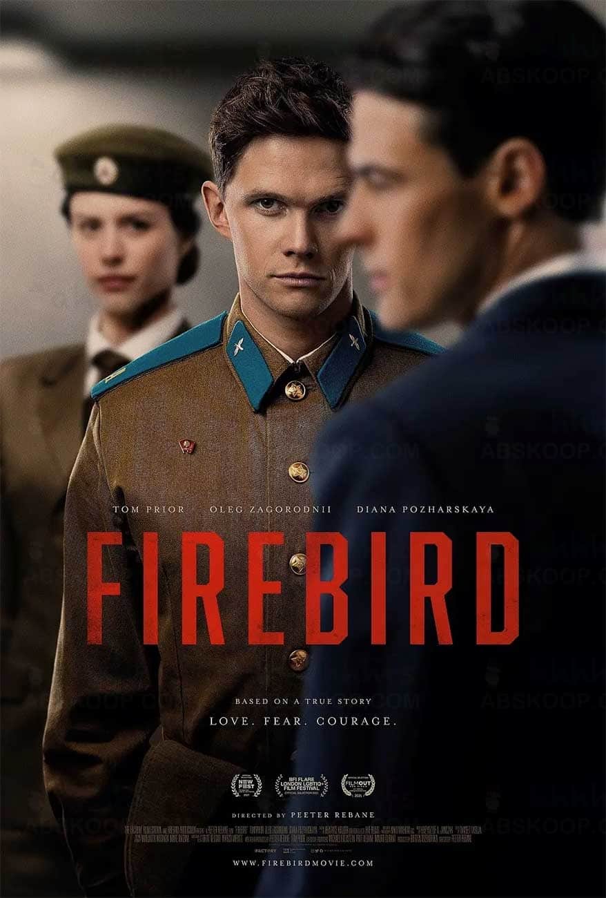 浴火鸟 Firebird (2021) 中字 1080p 网盘下载