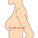 如何测量胸罩尺码（终极指南）：在线胸罩尺寸计算器bra-02-v2-0