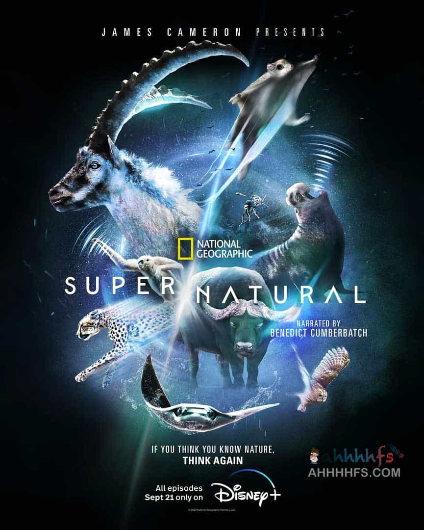 超 自然 Super Natural (2022)中字 1080p