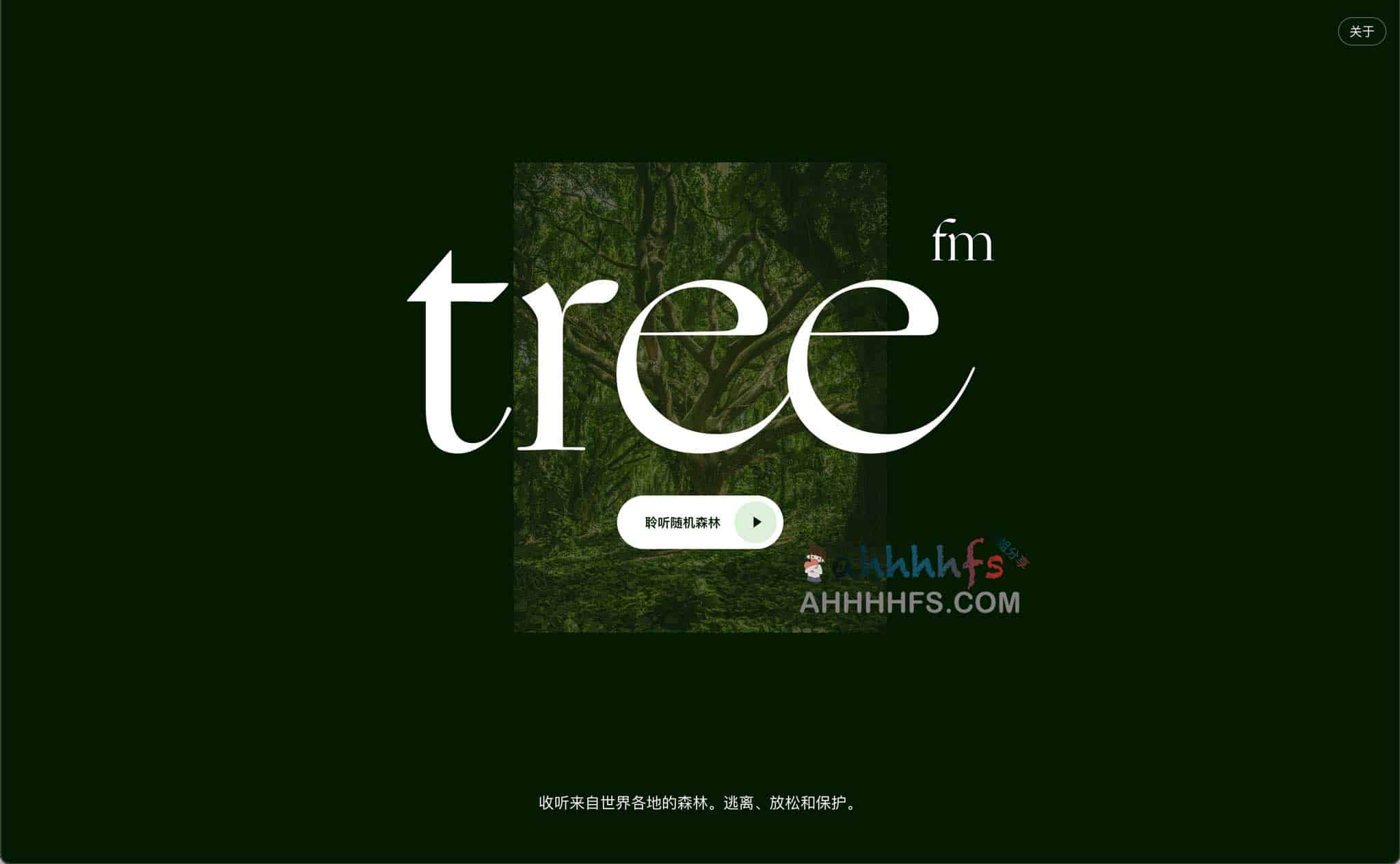 TreeFM-收听来自世界各地的森林声音 适合冥想放松