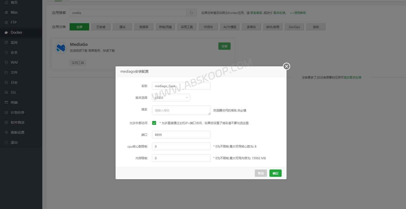 MediaGo: Open-Source M3U8 Downloader with Docker & API MediaGo Docker installation in BT Panel